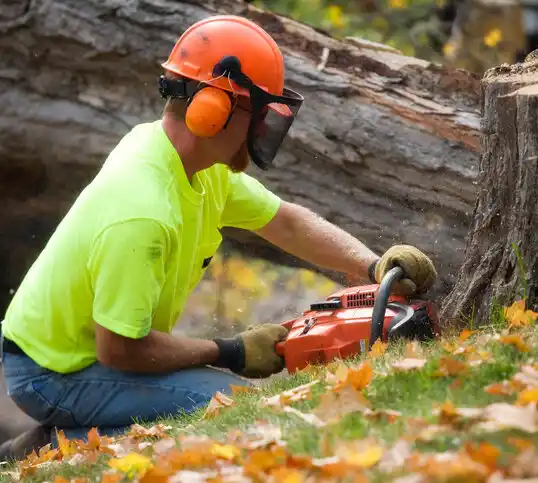 tree services Green Acres